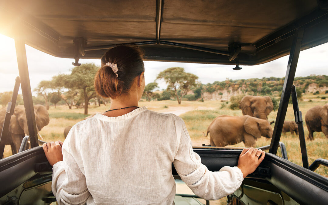 Una giornata di safari in Africa