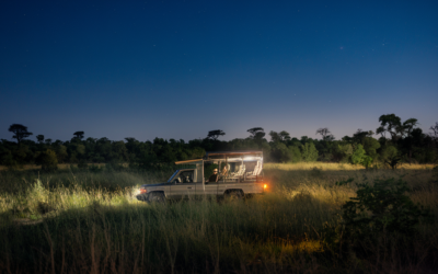 escursioni notturne durante un safari